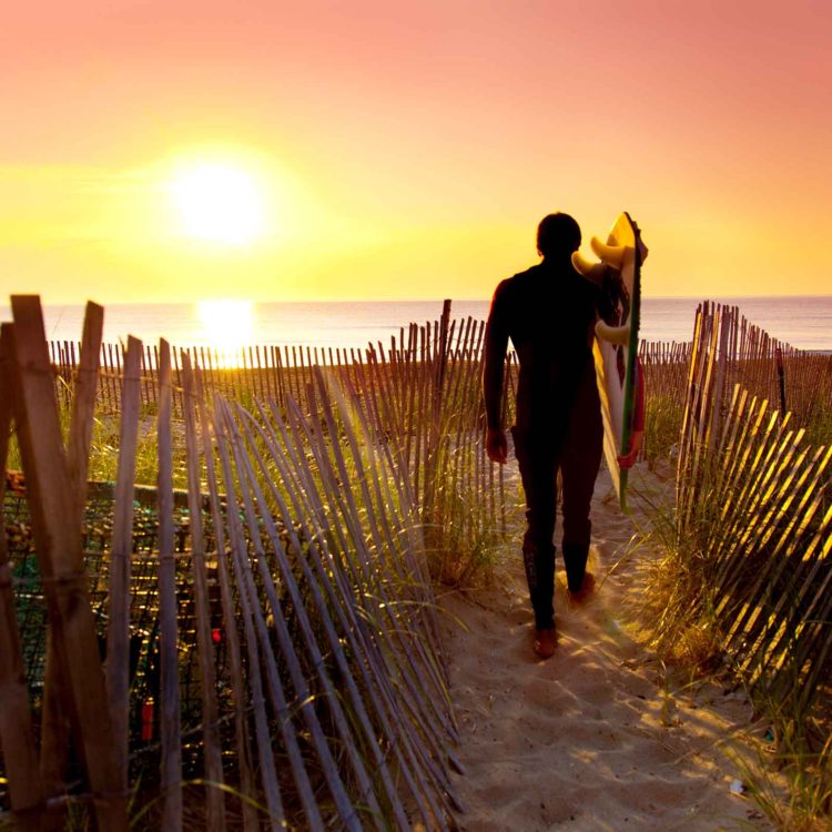 Beach Picket Fence