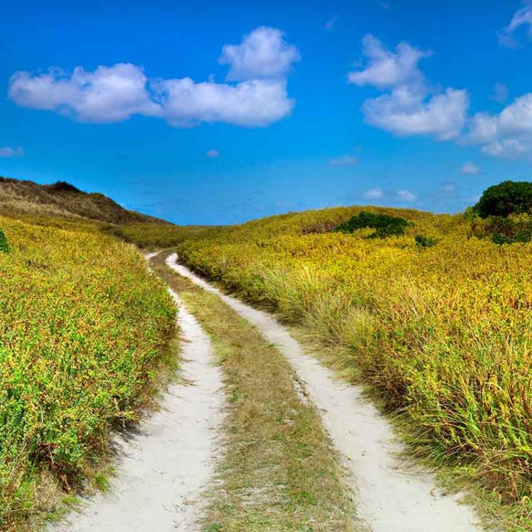 Beach Road