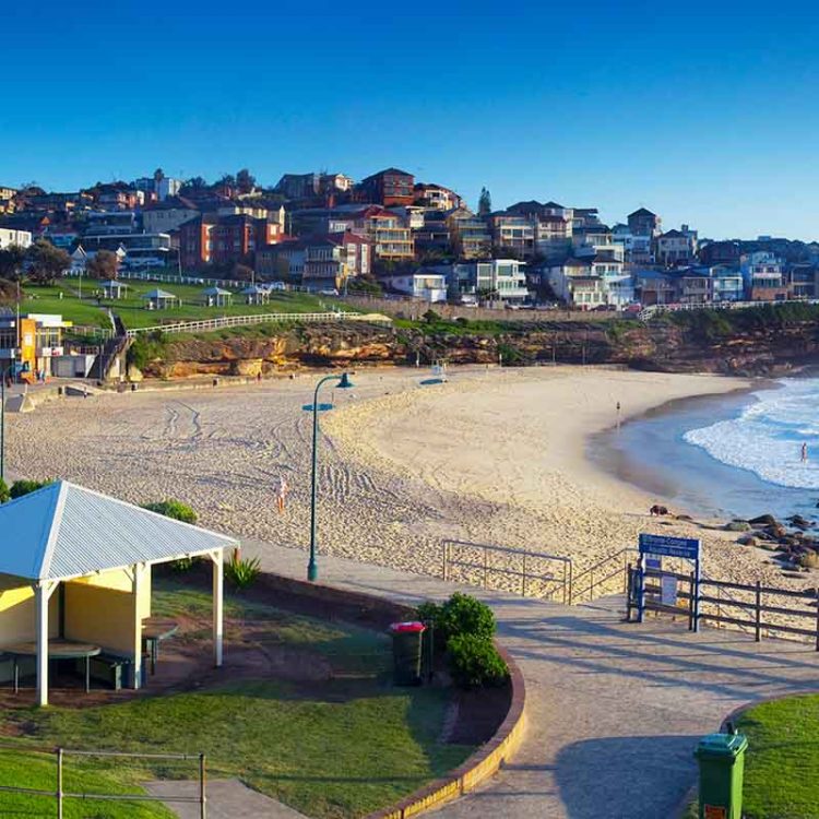 Beautiful Bronte