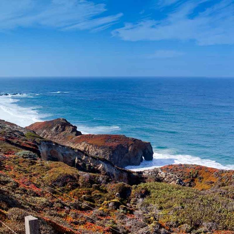 Big Sur Vista