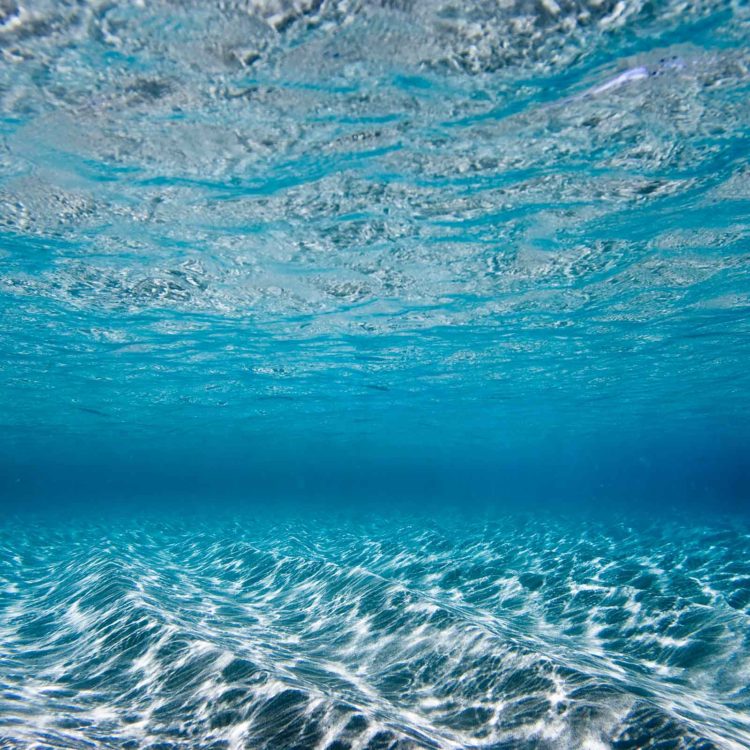 Blue Clarity