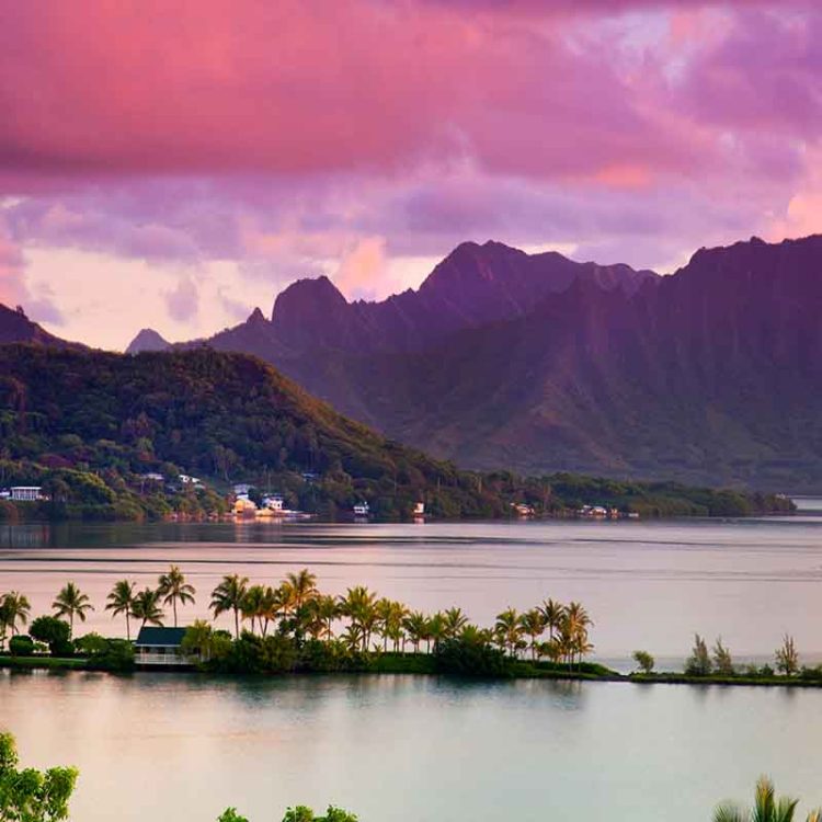 Captivating Kahaluu