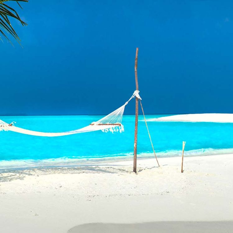 Castaway Hammock