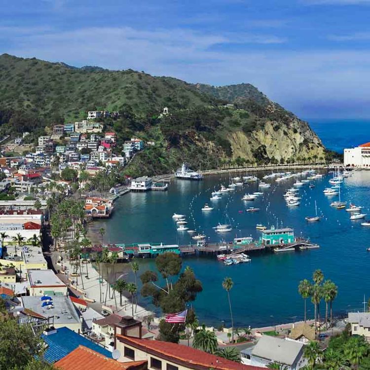 Catalina Harbour