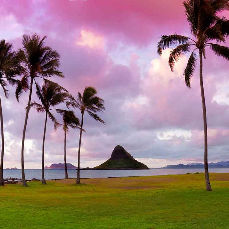 Chinaman's Hat Pastels