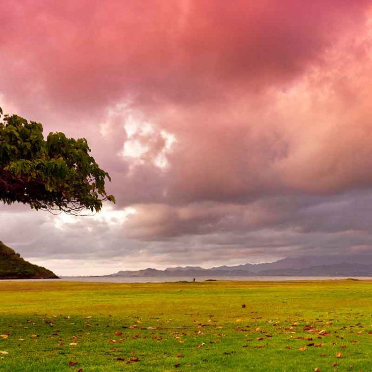 Chinaman's Hat Shade