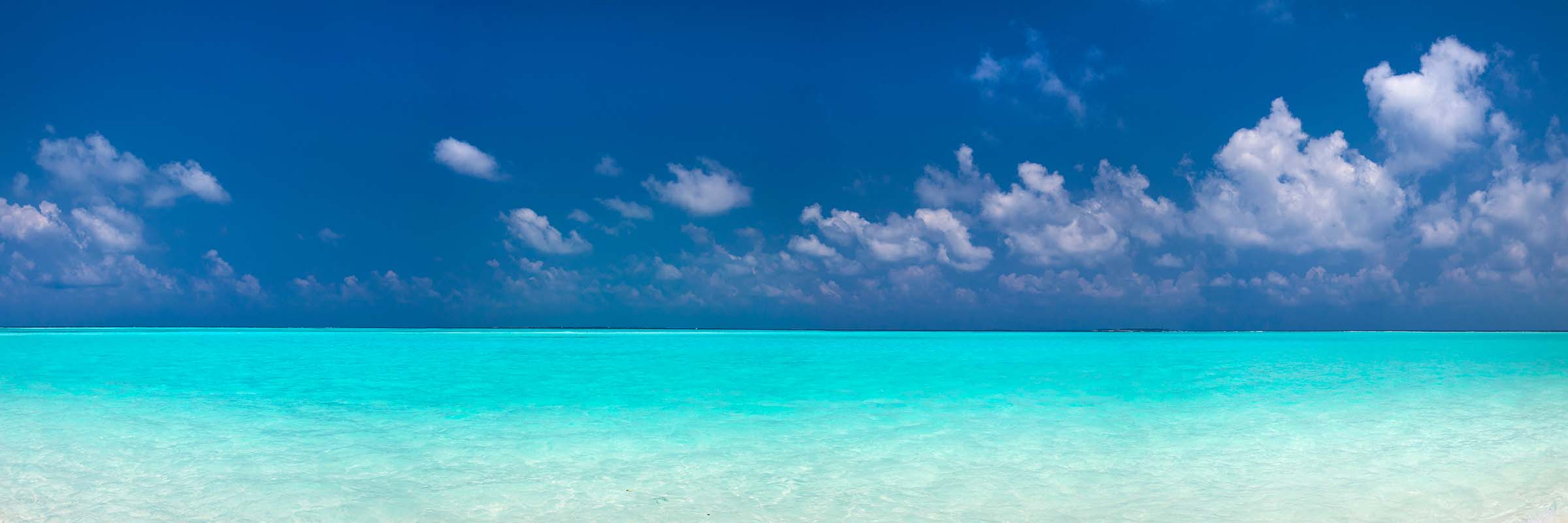 Tropical Expanse