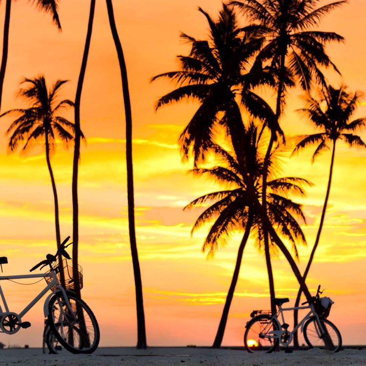 Gili Bikes