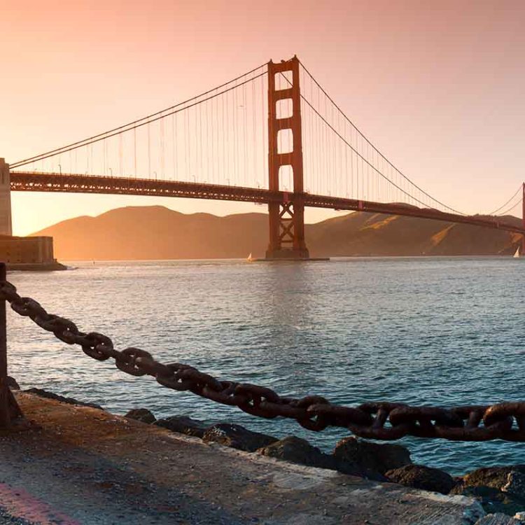 Golden Gate Chain Link