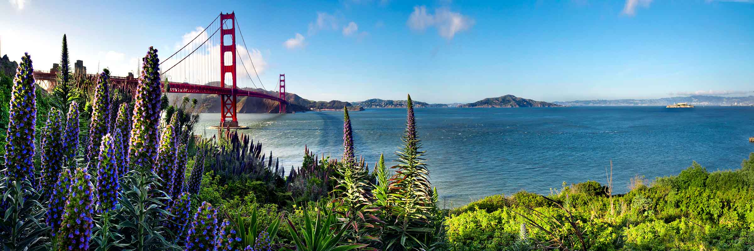 Golden Gate Flowers