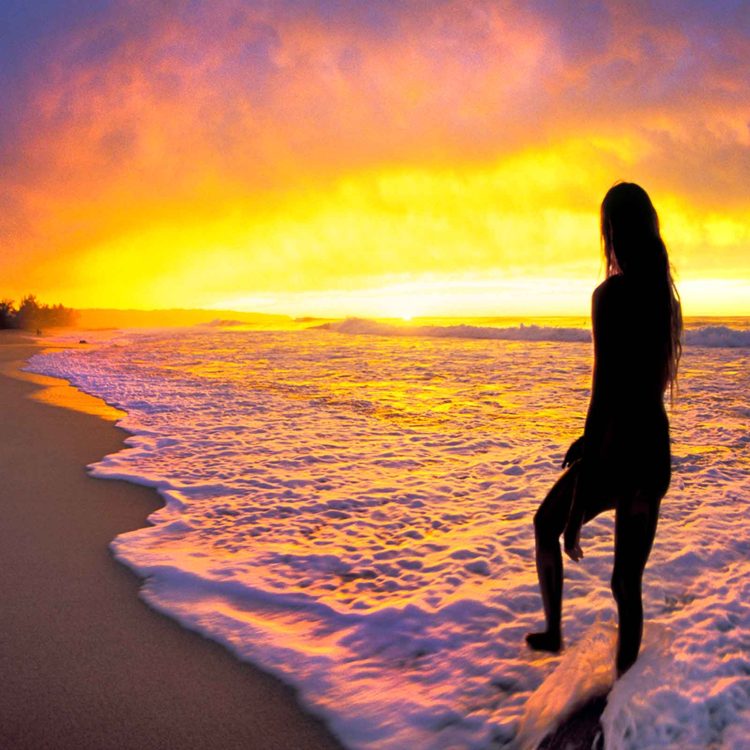 Golden Nth Shore Sunset