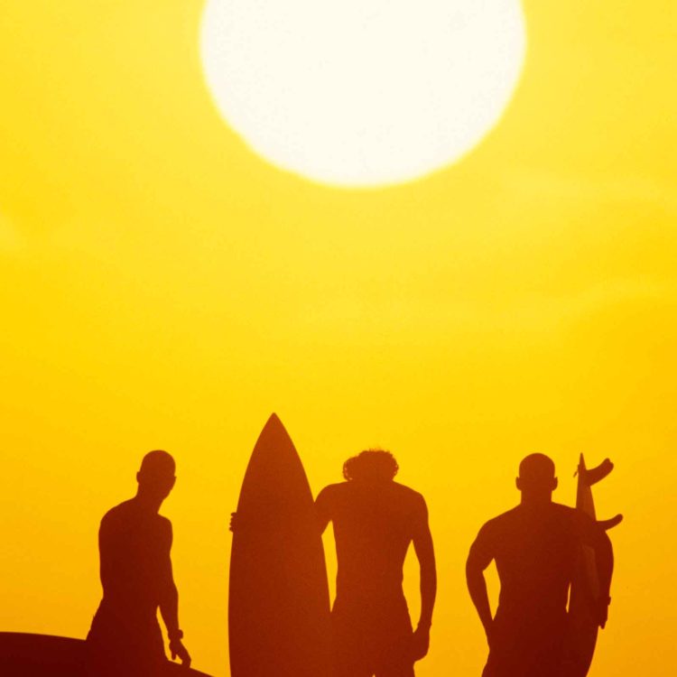 Golden Surf Silhouttes