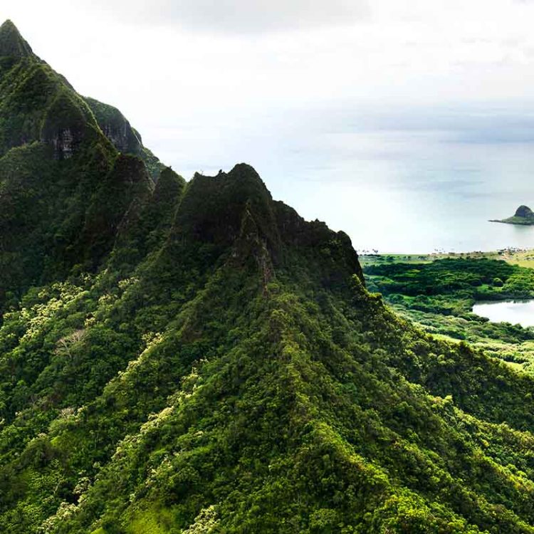 Green Pinnacles