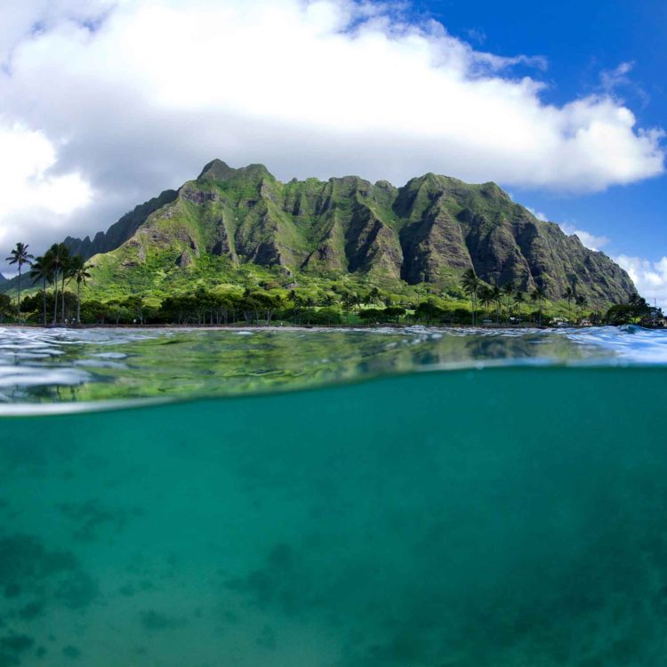 Kualoa Split