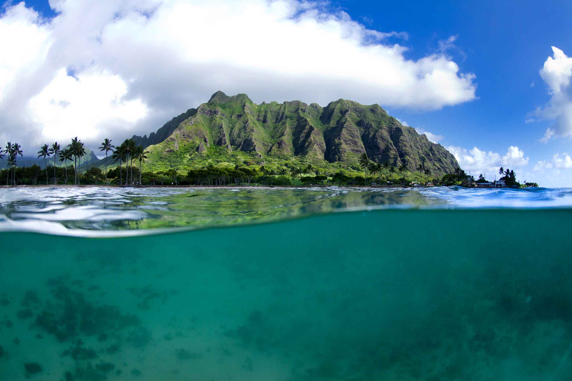 Kualoa Split