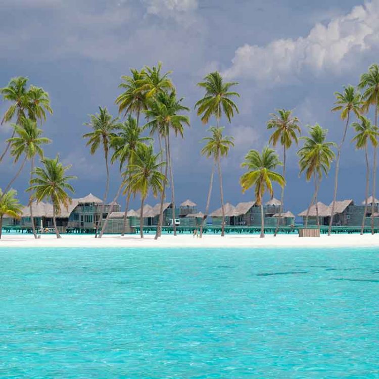 Lagoon Living