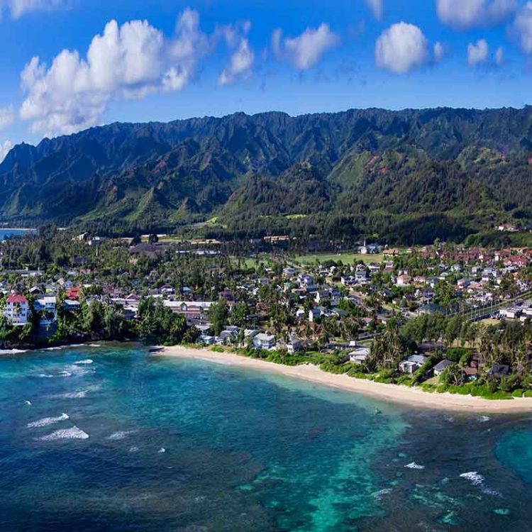 Laie Overview