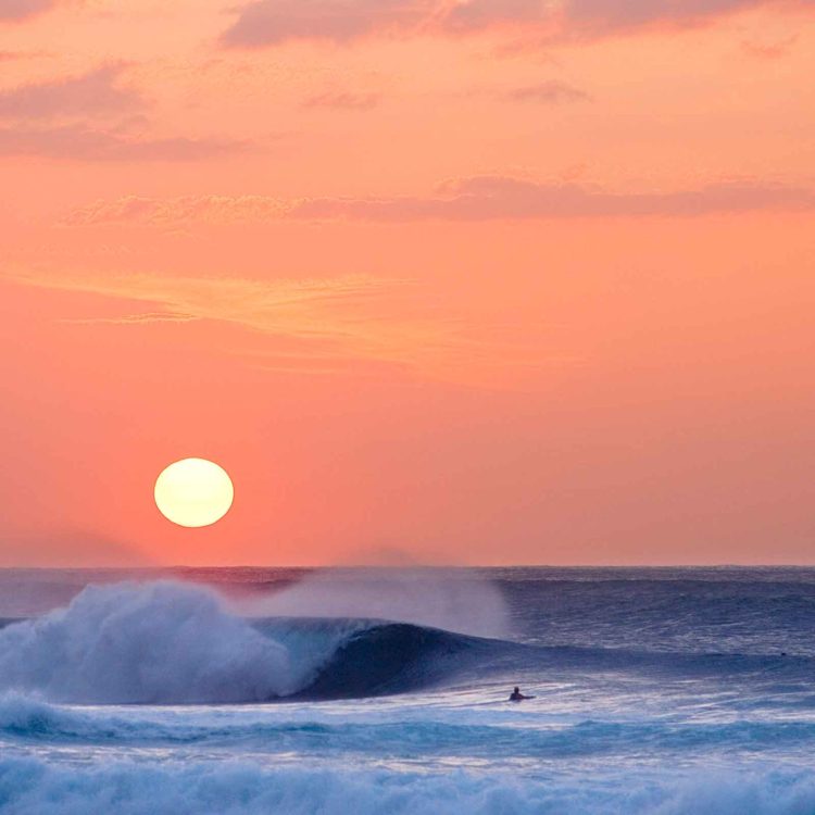Lemon Yellow Sun
