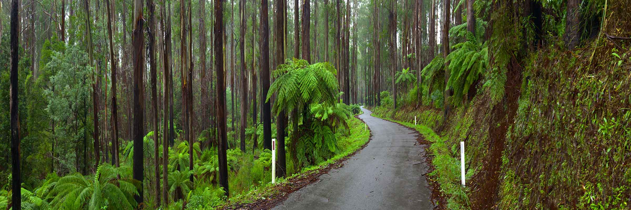Long Winding Road