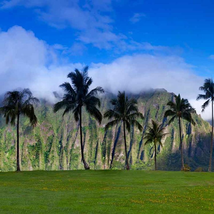 Manana Ridge