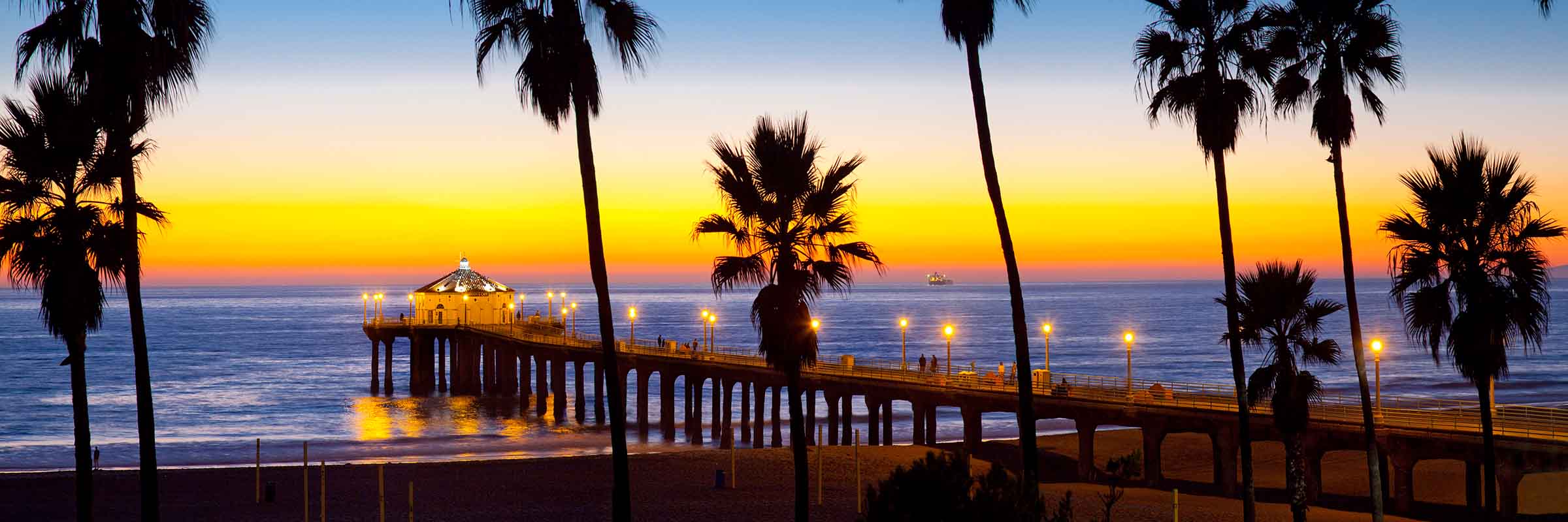 Manhattan Pier Palms
