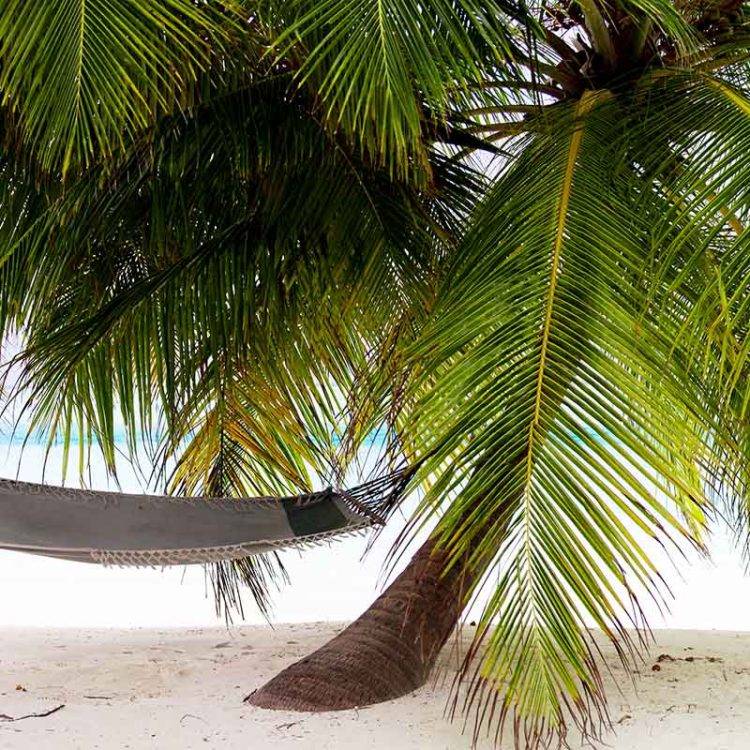 Meeru Palms