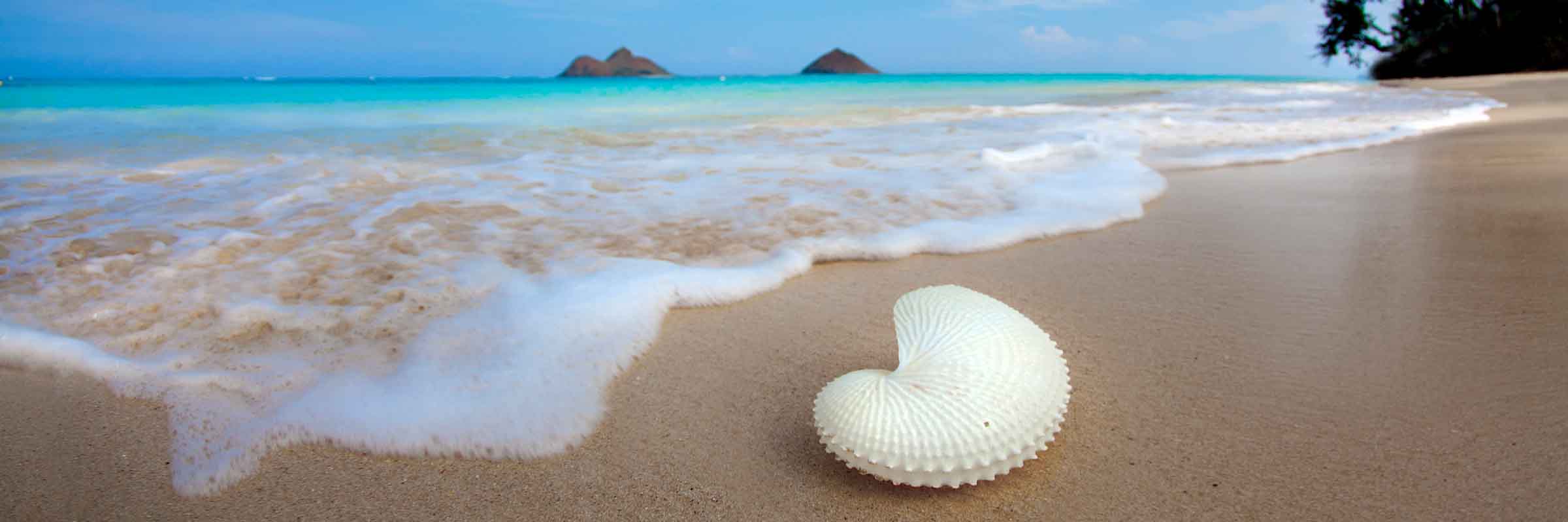 Moku Nautilus