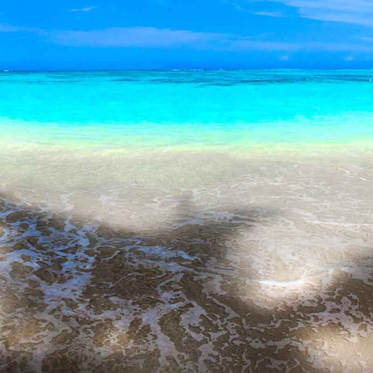 Moku Shores