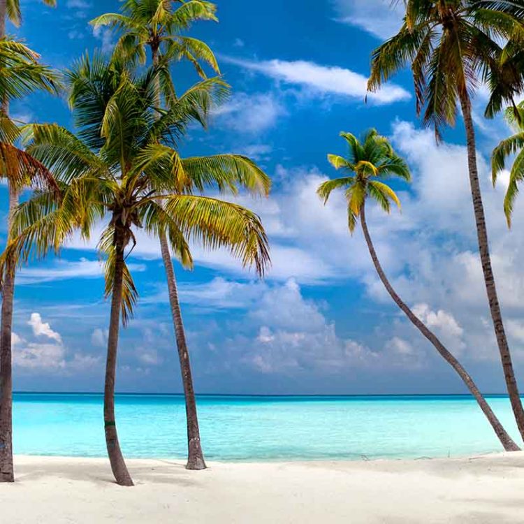 Perfect Beach