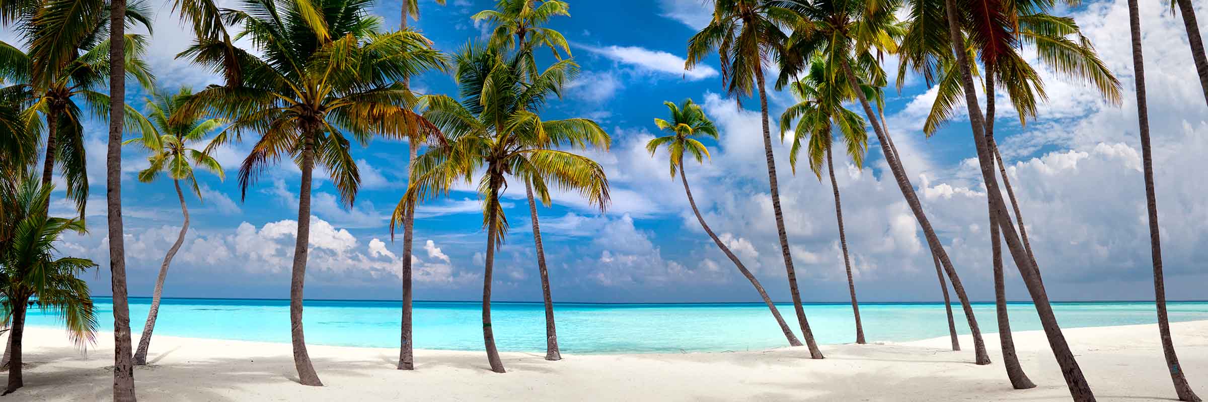 Perfect Beach