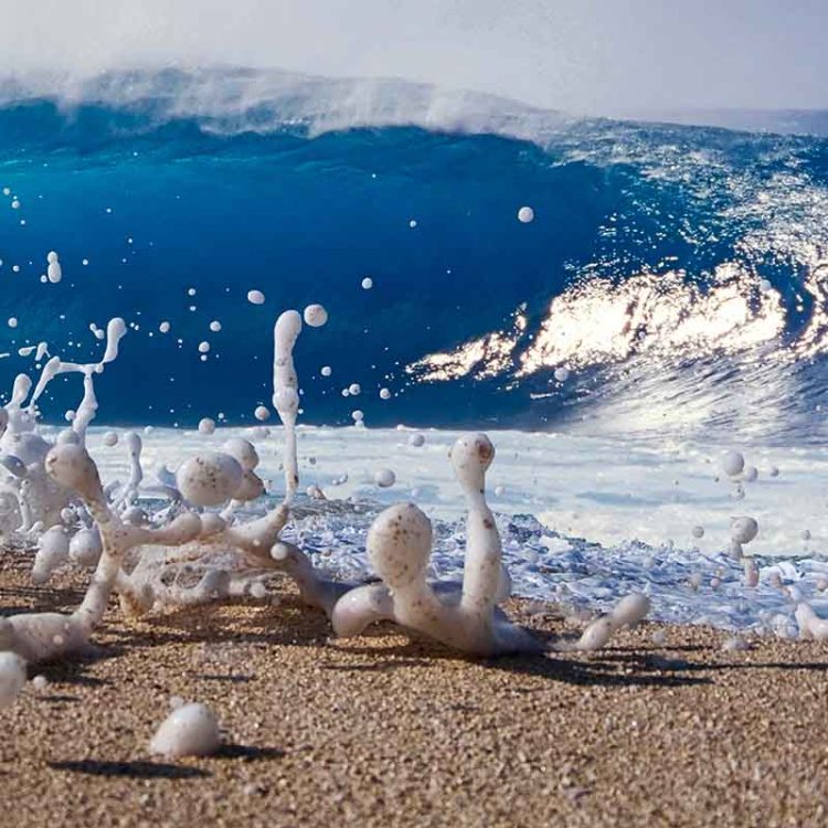 Pipe Foam