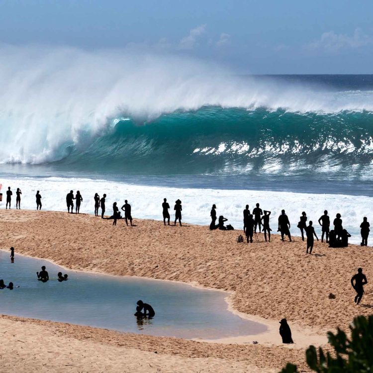 Pipeline Frenzy