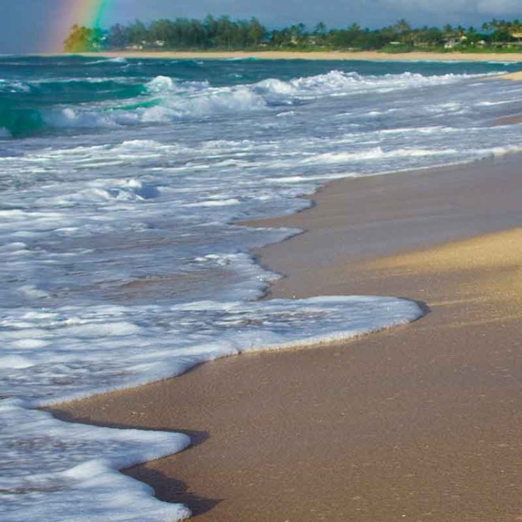 Vertical Rainbow Froth