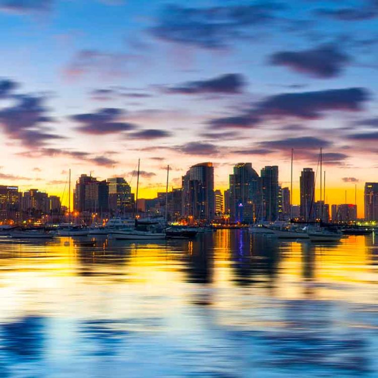 San Diego Shimmer