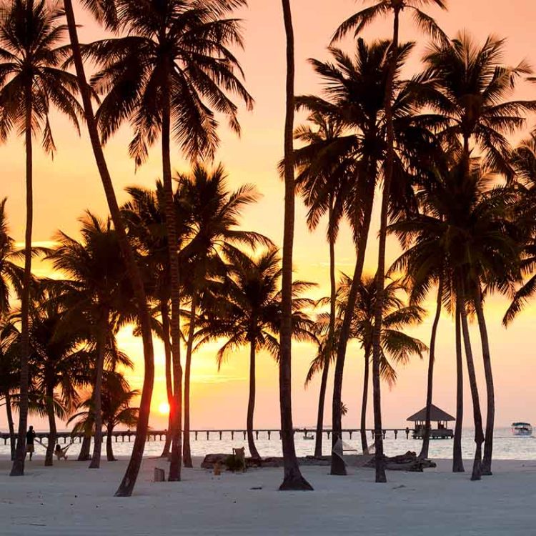 Serenity Sunset