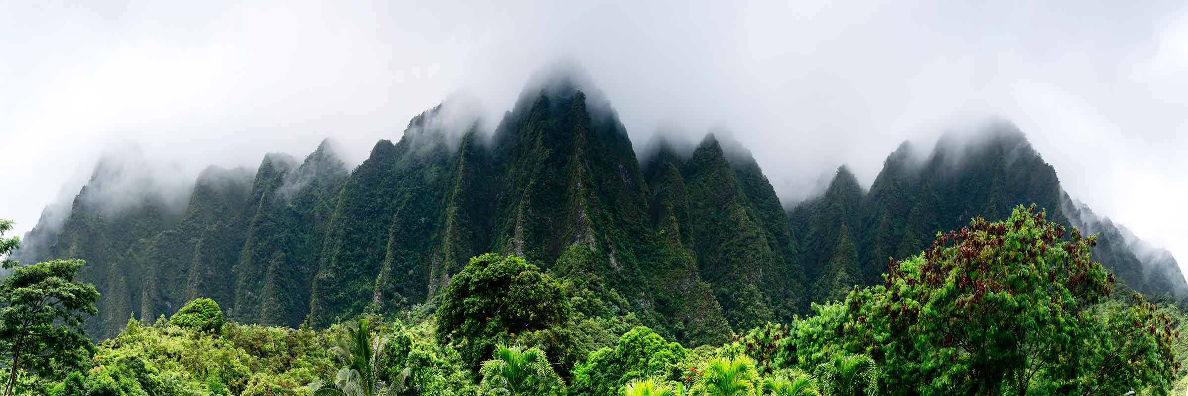 Shrouded Ko'olaus