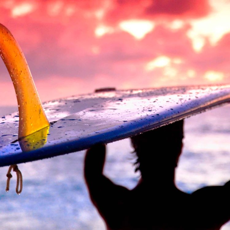 Single Fin Surfer