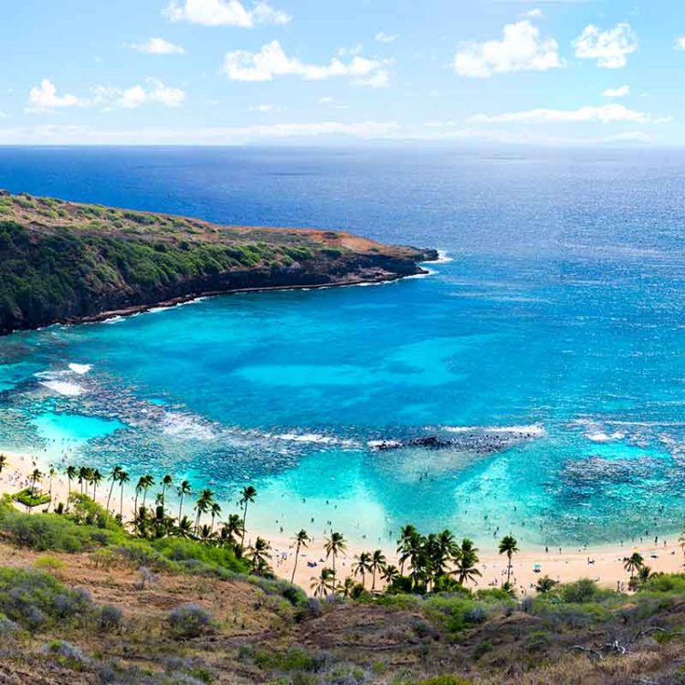 Snorkel Heaven