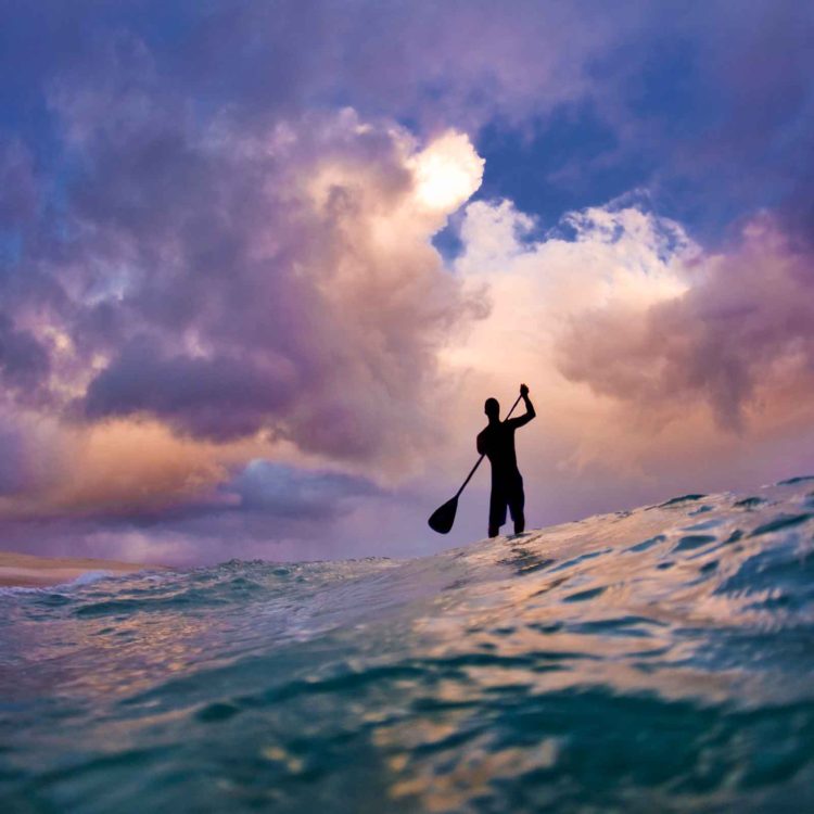 Storm Stander
