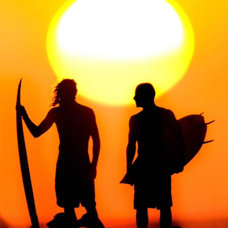 Sunset Silhouette