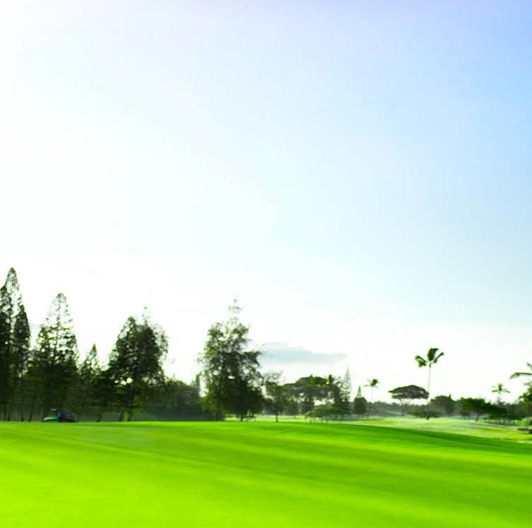 Turtle Bay Golf 1