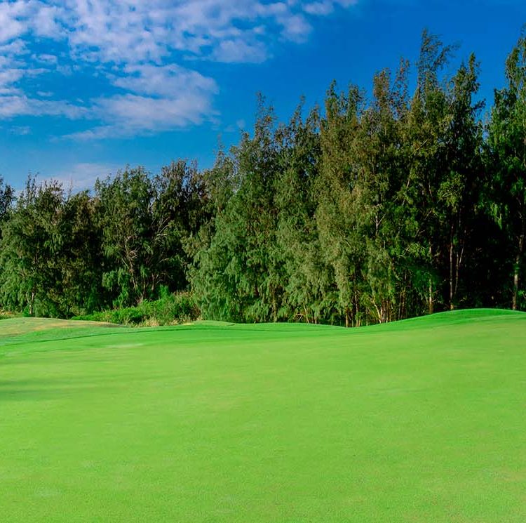 Turtle Bay Golf 6