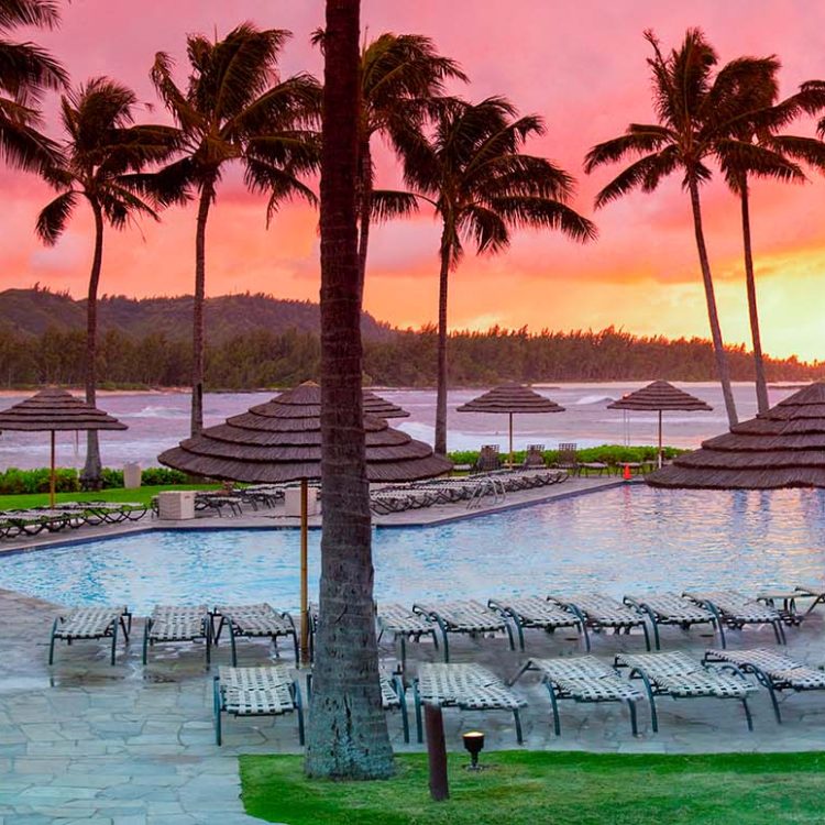 Turtle Bay Pink Palms