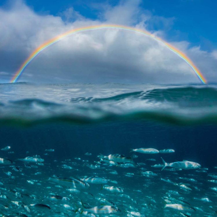 Under the Rainbow - Vertical