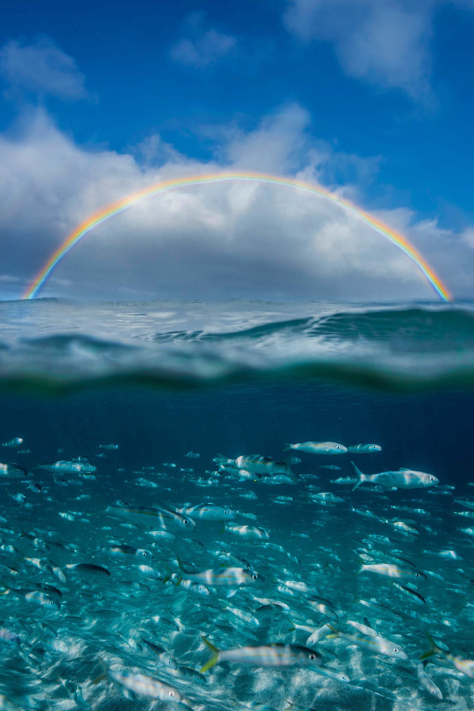 Under the Rainbow - Vertical