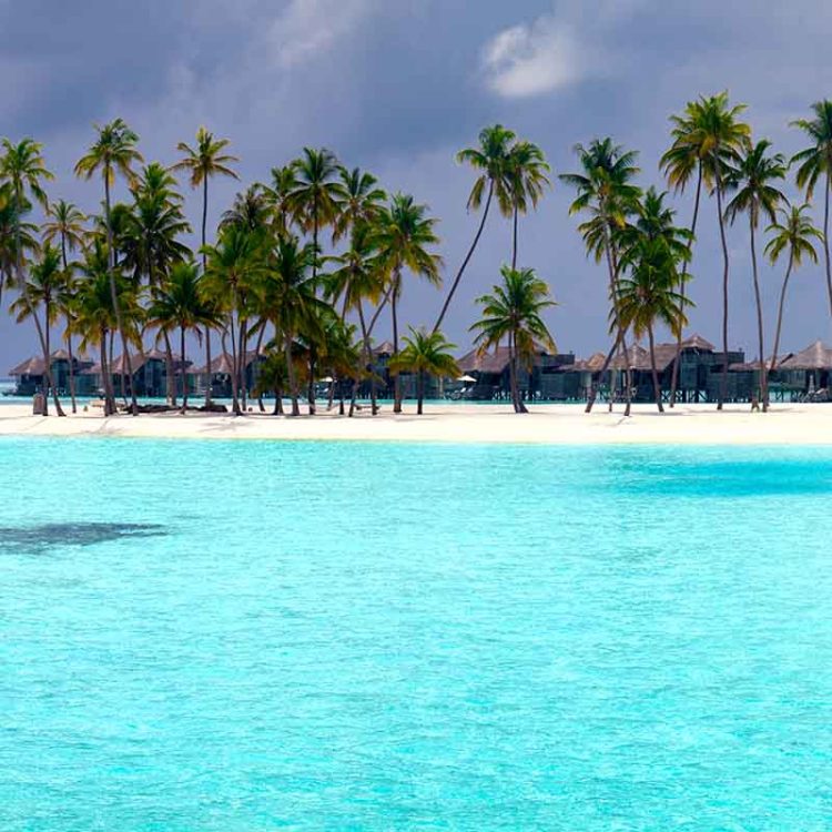 Walkway to Paradise