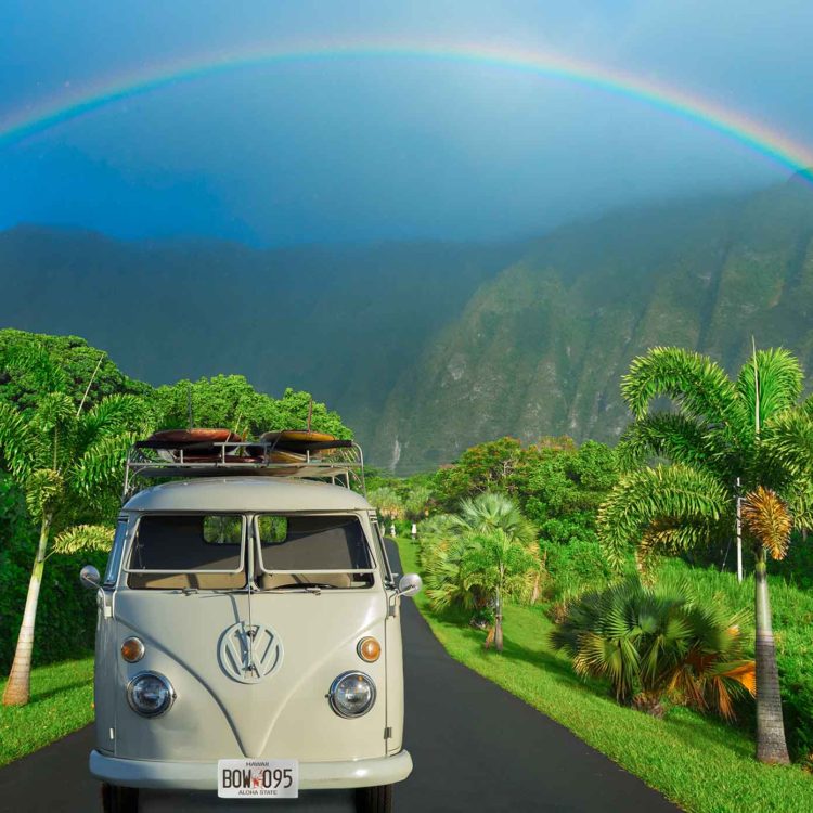 Kombi Rainbow