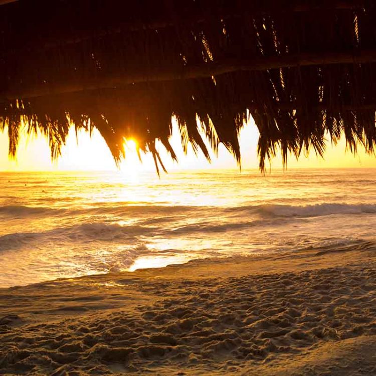 WindNSea Sunset