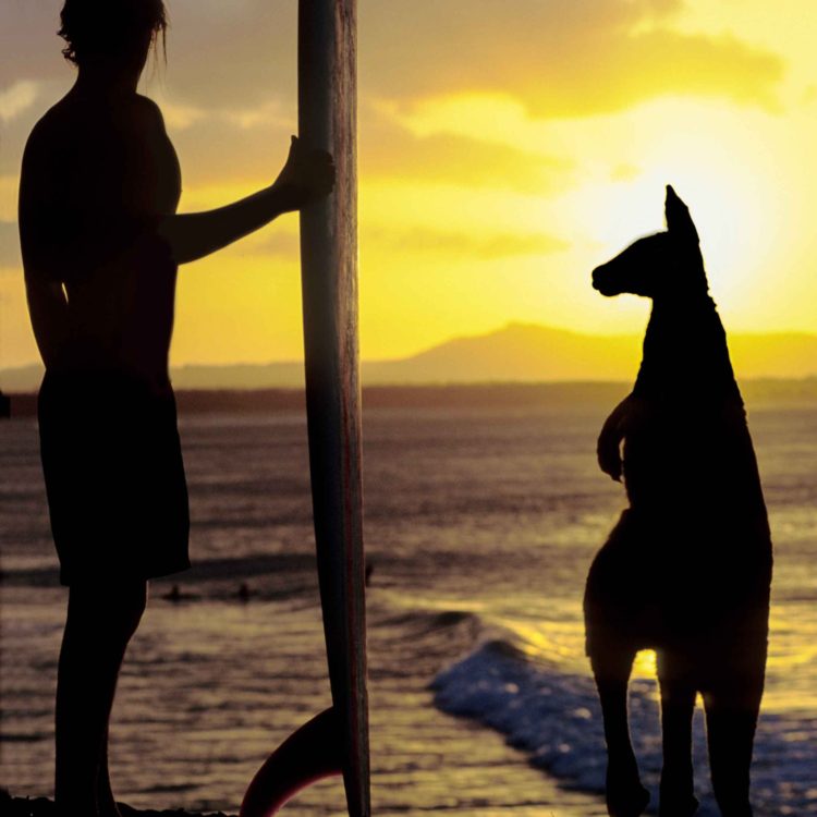Surfer And Kangaroo