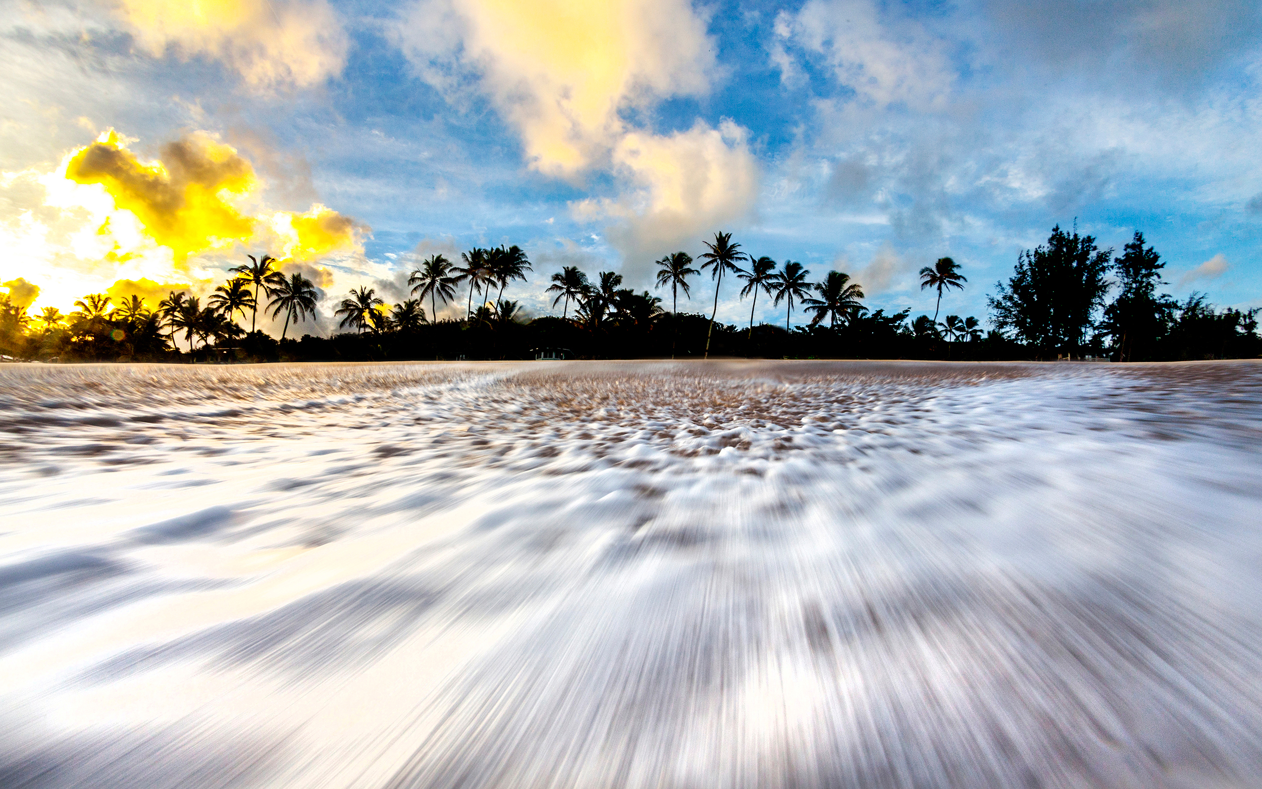 Coconut Rush - Image 2